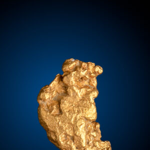 Curvy, Sculptural Natural Gold Nugget